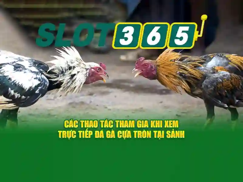 Slot365-chinh-thuc-tong-quan