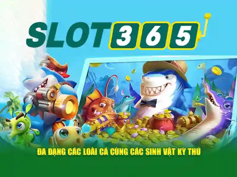 Trải nghiệm người dùng và giao diện