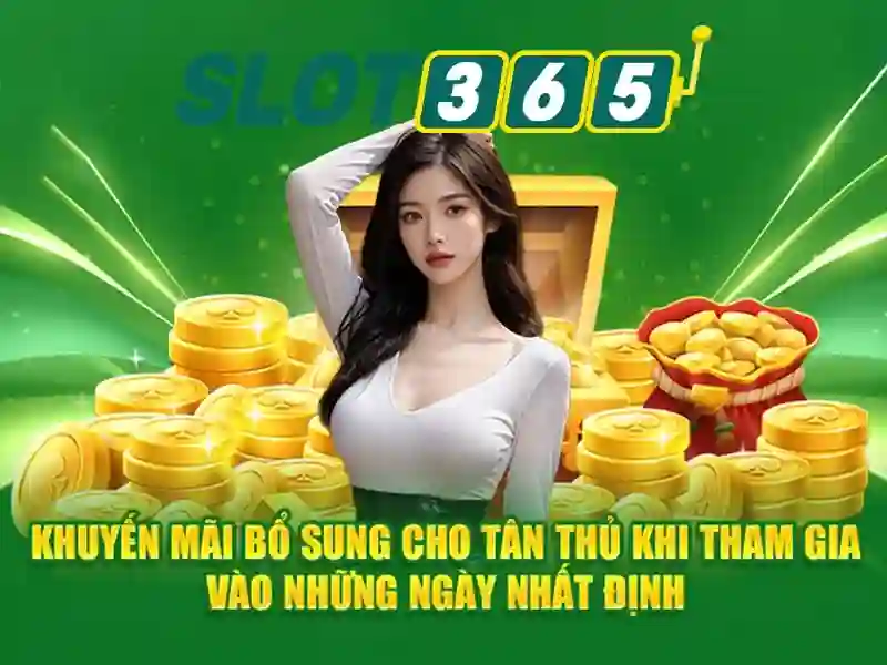 Sản phẩm và dịch vụ cốt lõi: ứng dụng thực tế của slot365 casino