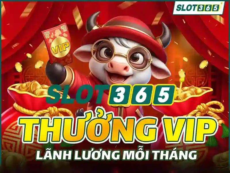 Khuyến nghị cho người mới