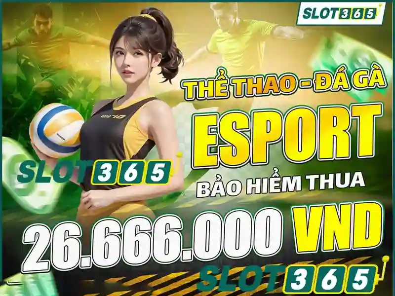slot365 tảng 200k – Tóm tắt chủ đề và Giá trị cốt lõi
