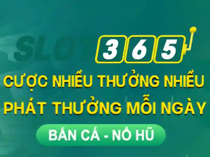 Khuyến mãi và chương trình thưởng