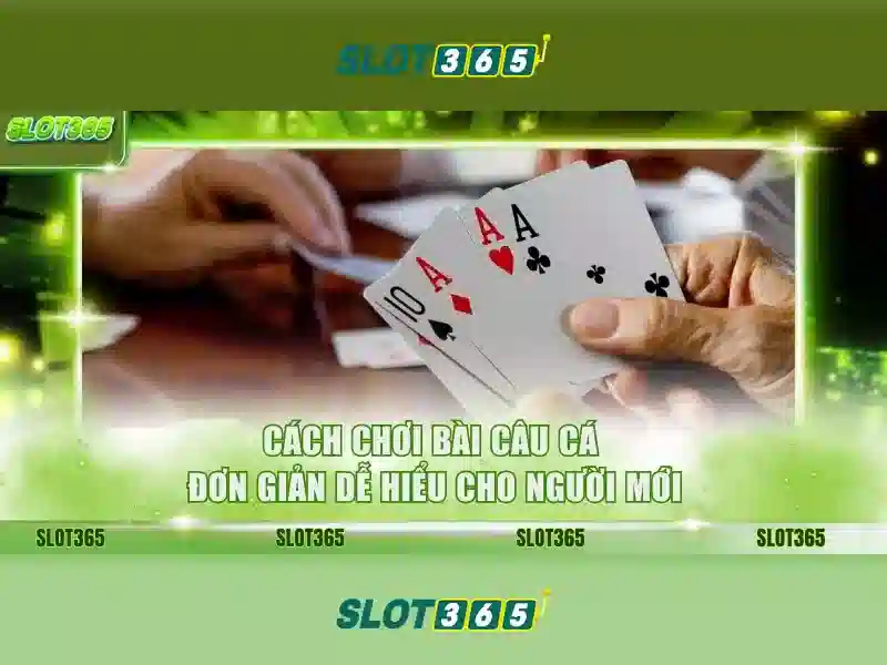 Khu vực an toàn và thanh toán
