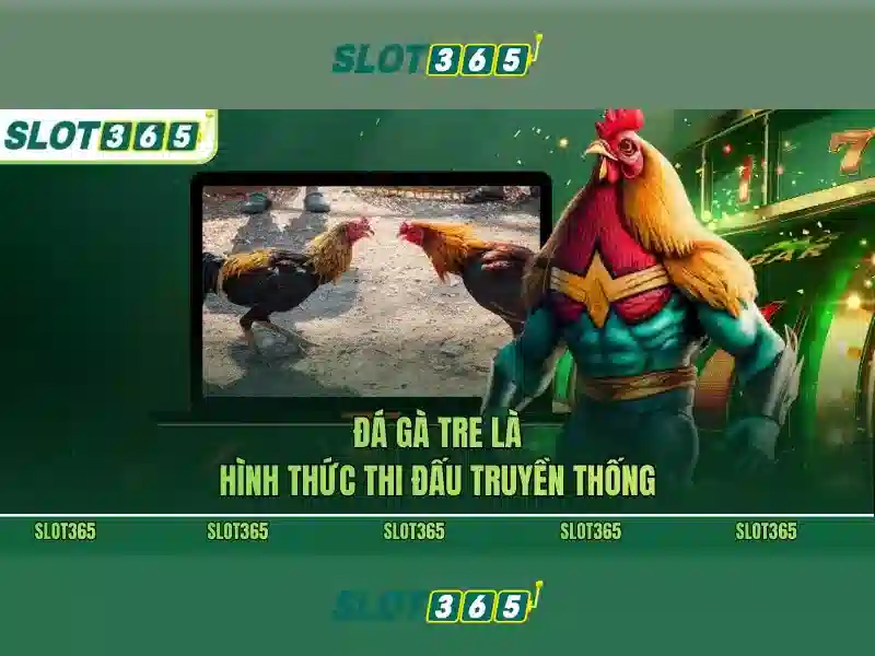 Slot365 có lừa đảo không – Tóm tắt chủ đề và giá trị