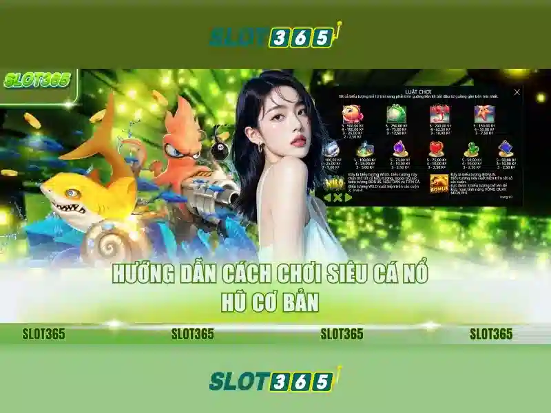 Trải nghiệm người dùng và hỗ trợ