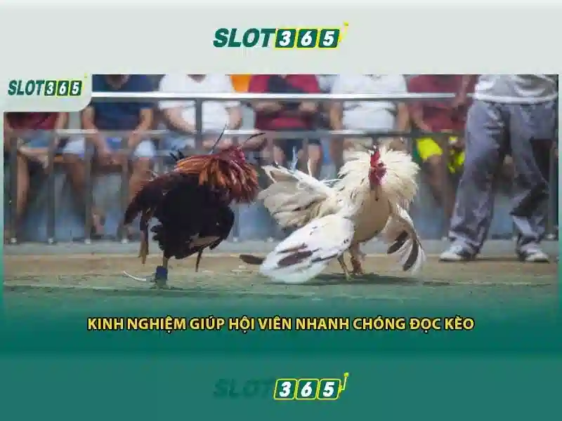 Nguồn gốc và sứ mệnh của slot365 tải