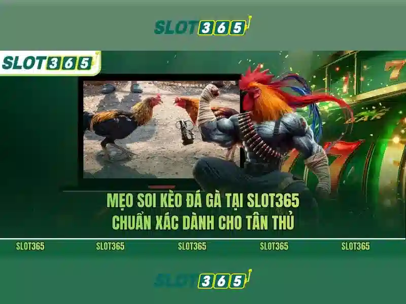 Hỗ trợ khách hàng và cách liên hệ