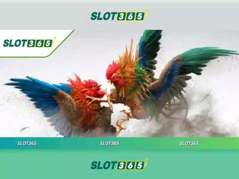 Trang web Slot365 - tổng quan