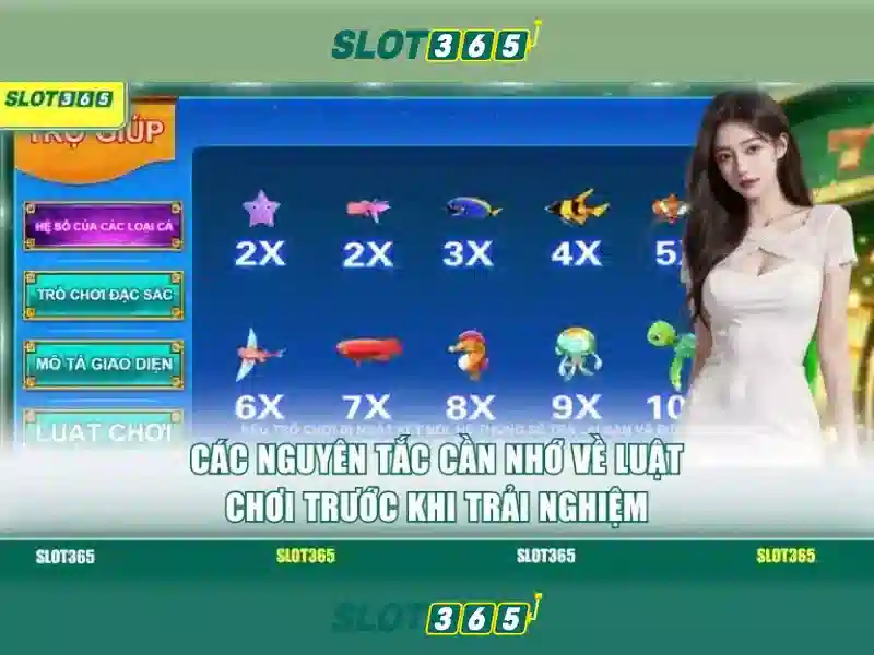 Cách đăng ký và bắt đầu chơi