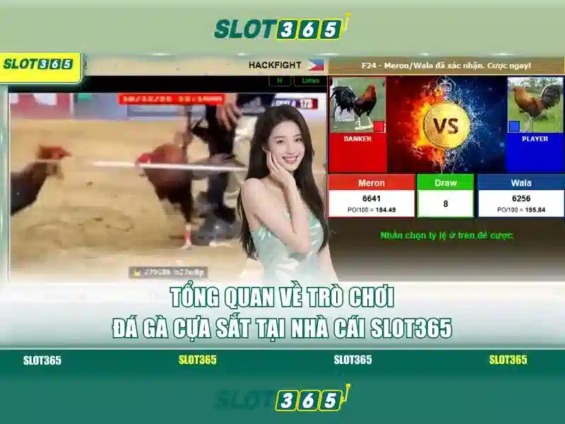 Việt Vị Trong Bóng Đá