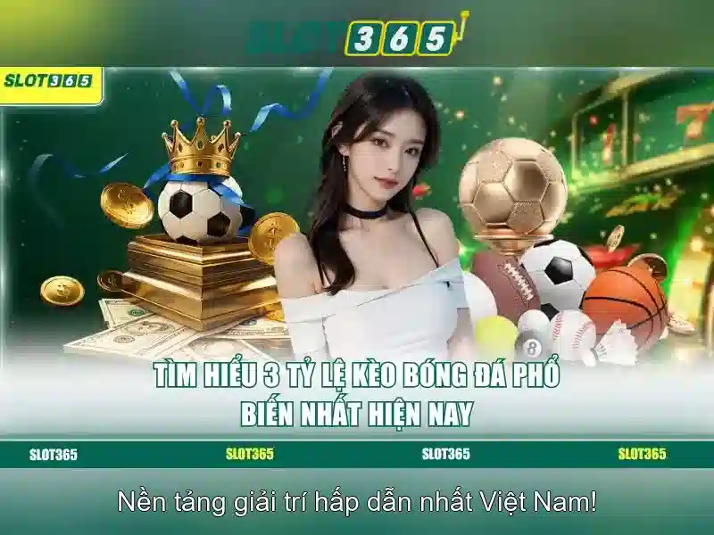 Trải nghiệm người dùng trên di động