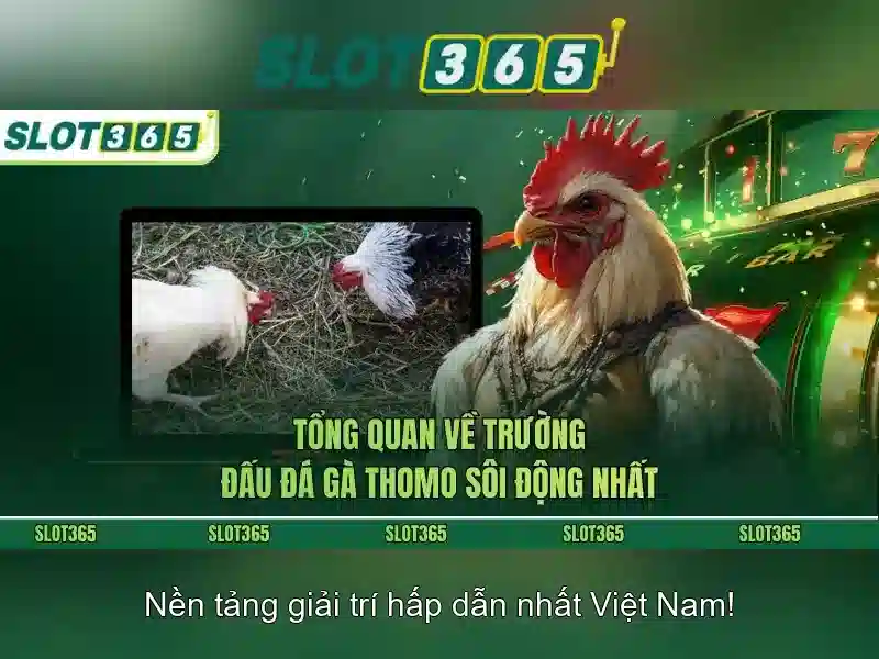 Việt Vị Trong Bóng Đá