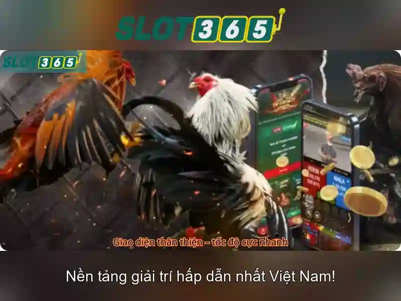 Hướng dẫn tham gia và thanh toán