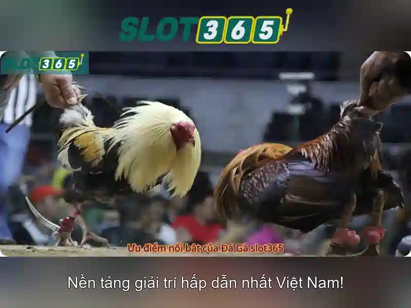 Trải nghiệm người dùng và giao diện