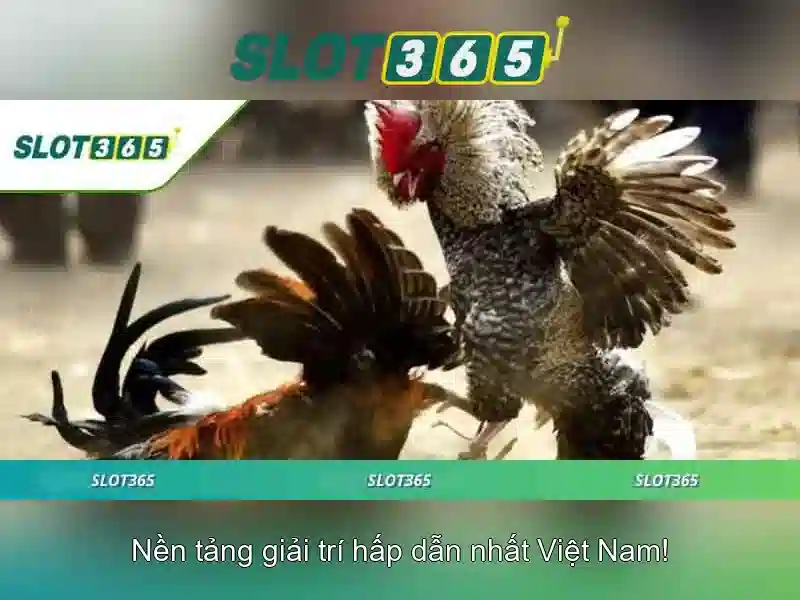 Giới thiệu về Slot365