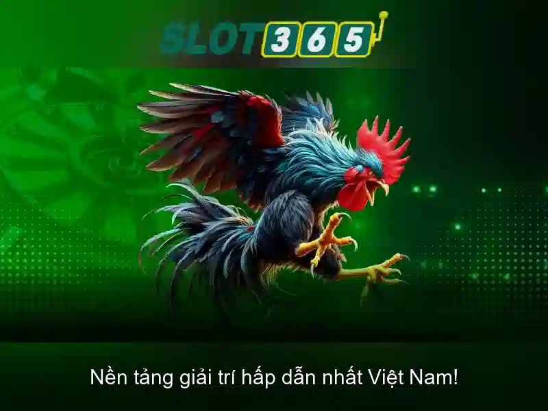 Hướng dẫn tham gia và khuyến mãi