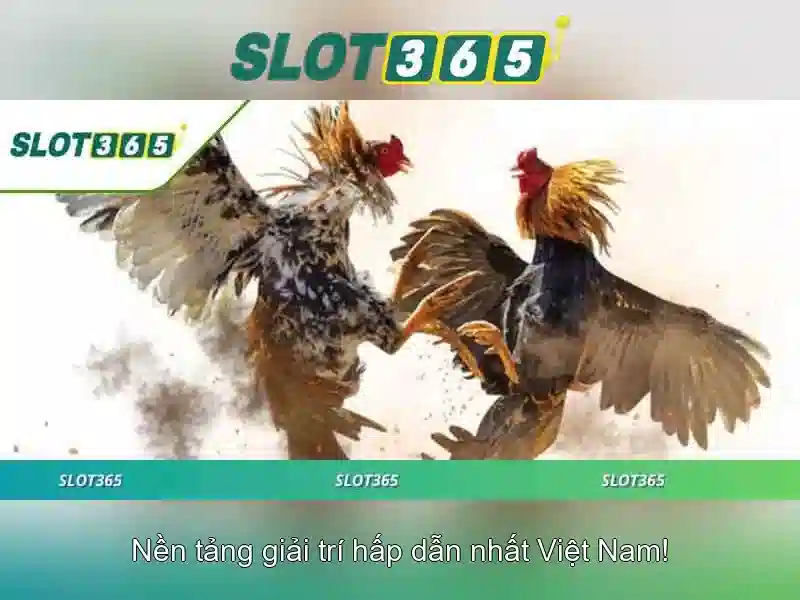 Tinh nang noi bat cua Slot365