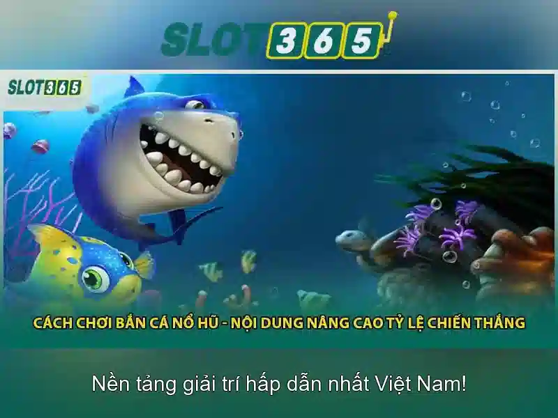 An toàn và thanh toán