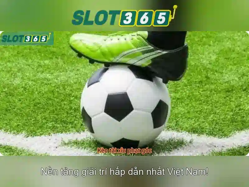 An toàn người chơi và các chính sách thanh toán\n