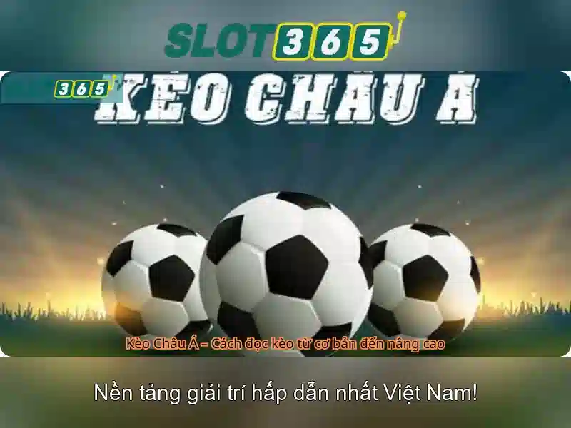 Trải nghiệm người dùng tối ưu và hỗ trợ 24/7