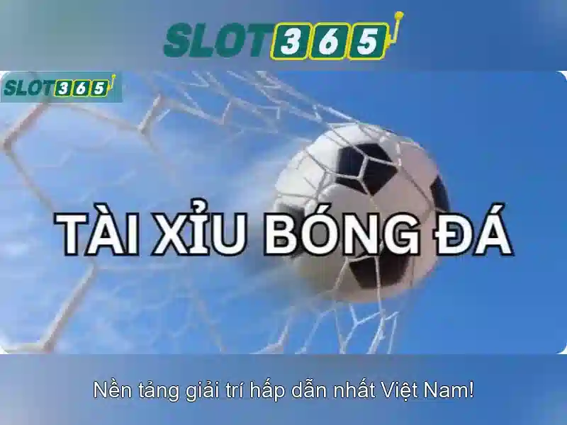 Nền tảng và giao diện