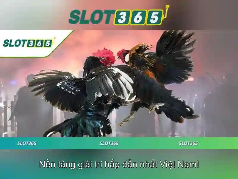Việt Vị Trong Bóng Đá