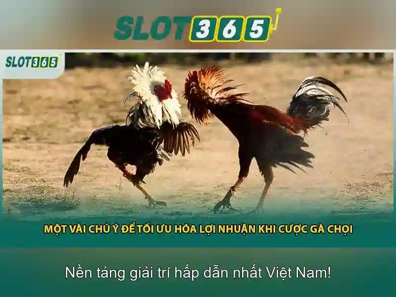 An toan va ho tro khach hang 24/7