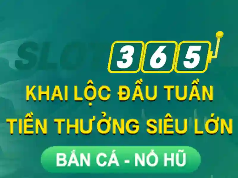 Giao diện và trải nghiệm người dùng
