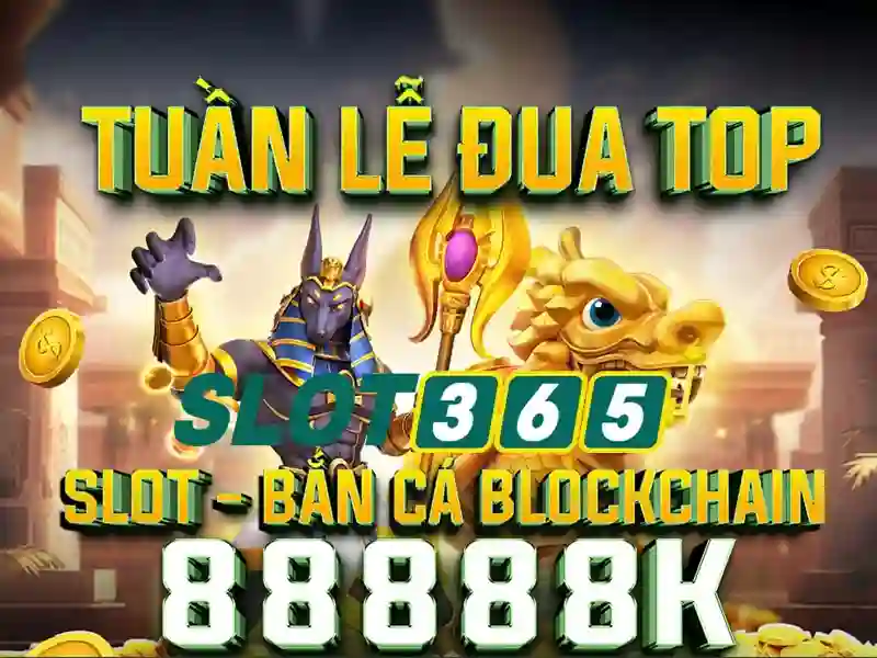 Sản phẩm và dịch vụ chính: Ứng dụng thực tế của slot365 có lừa đảo không